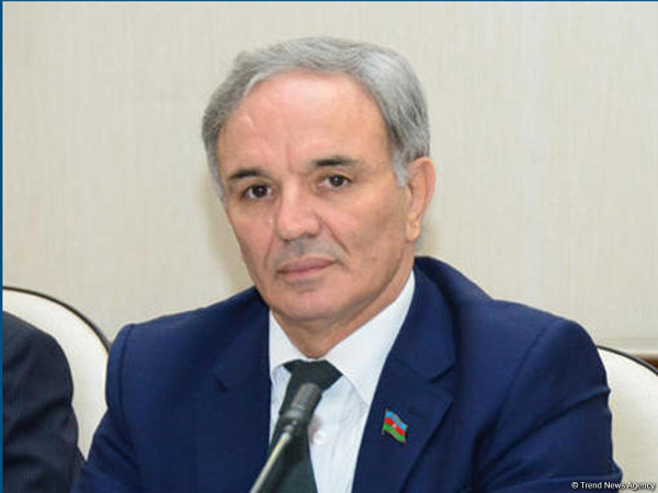 Millət vəkili: Mediamız Azərbaycan həqiqətlərinin dünyaya çatdırılmasında xüsusi rol oynayıb